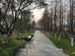 -三垟湿地