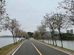 -松山湖风景区松湖烟雨