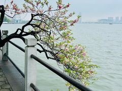 -无锡蠡湖国家湿地公园-蠡园