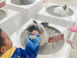 -Moni星球萌宠·小马宝莉·灵蛇·高端高阶全萌宠互动体验俱乐部(红豆国际广场店)