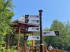 -白草畔自然风景区