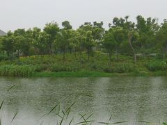 -尚贤河湿地