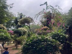 -曼听御花园