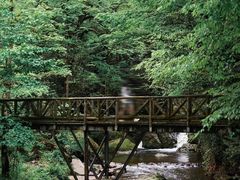 -龙苍沟森林公园