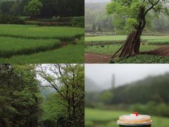-天台山景区