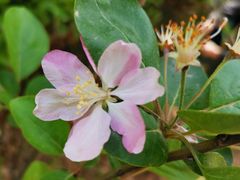 -功夫汤粤港餐厅(锦业路店)