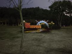 -野狸岛