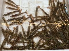 -青石桥市场北1-27号