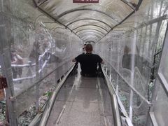 -千泷沟大瀑布旅游区