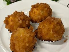 -丁老爷子苏香圆