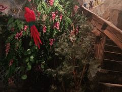 -老牌坊云南鱼豆花火锅(嵩山店)