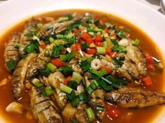 -千岛湖小鱼儿·淳安匠心农家菜