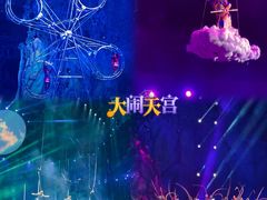 -灵玲国际马戏城