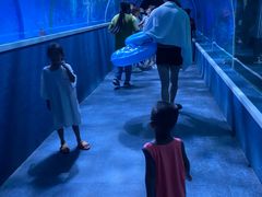 -北戴河圣蓝海洋公园