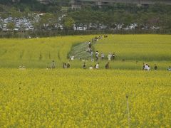 -光明小镇欢乐田园