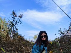 -合肥滨湖国家森林公园