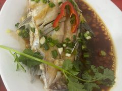 -先鲜鲫鱼粥