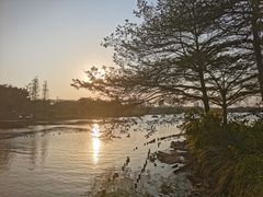 -海珠湖公园