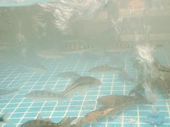 -老宜春味道·江西菜(都市春天店)