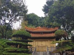 -深圳国际园林花卉博览园