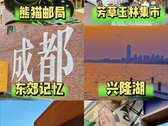 -成都大熊猫繁育研究基地