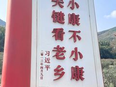 -亚龙湾国际玫瑰谷