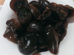 黑木耳-默玉火锅(新世纪购物中心店)