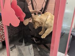-FAELING PETS美天灵宠物(合生汇店)