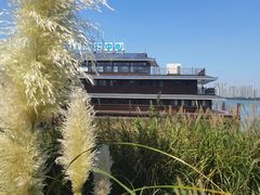 -东湖落雁景区