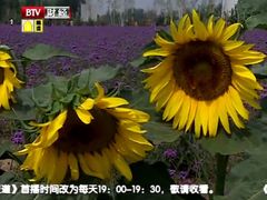 景点-云峰山自然风景区