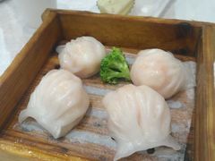 -鹅城