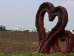 -紫颐香薰山谷景区
