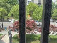 -大拙里·精致融合菜(沙湖桃源国际店)