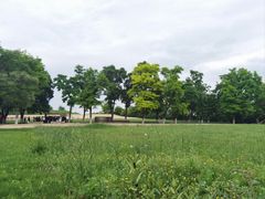 -汉长安城未央宫国家考古遗址公园