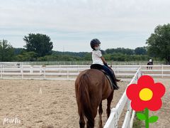 -月河湾马术俱乐部(朝阳店)