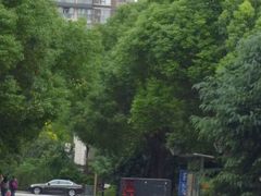 -鹏欣·一品漫城1期