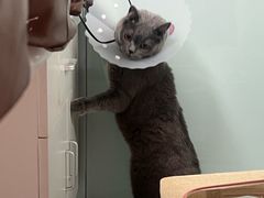 -达爱动物医院·犬猫分区·CT·复杂眼科(远洋山水分院)