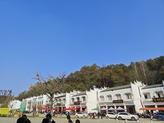 -千年银杏谷文化旅游区