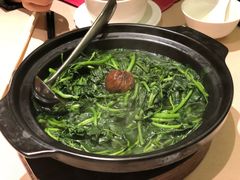 上汤西洋菜-陶陶居海鲜酒家(新马路店)