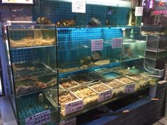 水产区-大城·烧烤海鲜大排档(台东店)