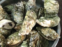 -韩家墅海吉星农产品批发市场