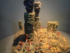 -浙江自然博物院(杭州馆)
