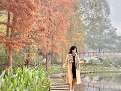-重庆彩云湖湿地公园