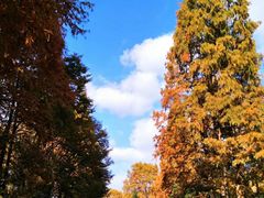 -南京航空航天大学(明故宫校区)