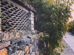 -崇阳三特浪口温泉