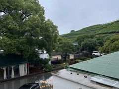 -听风阁农家私房菜茶楼(龙坞店)