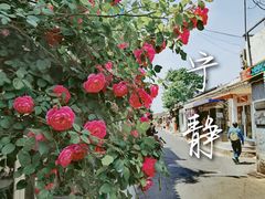 -五道营胡同