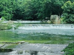 -广州市石门国家森林公园
