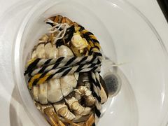 -AEON永旺(东方宝泰店)