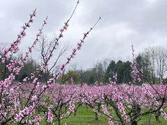 -观山湖公园